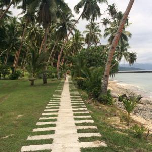 10920909_10205493067583130_1497503795987399233_n